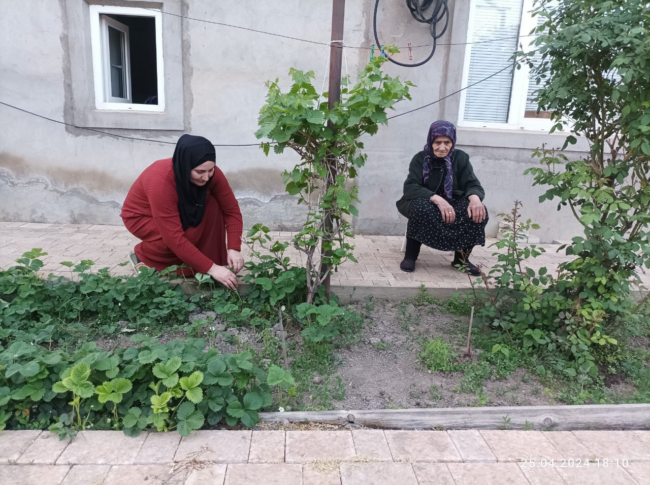 Патронаж социального работника