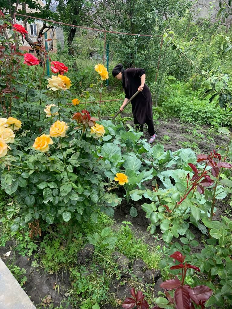 Социально - бытовые услуги.