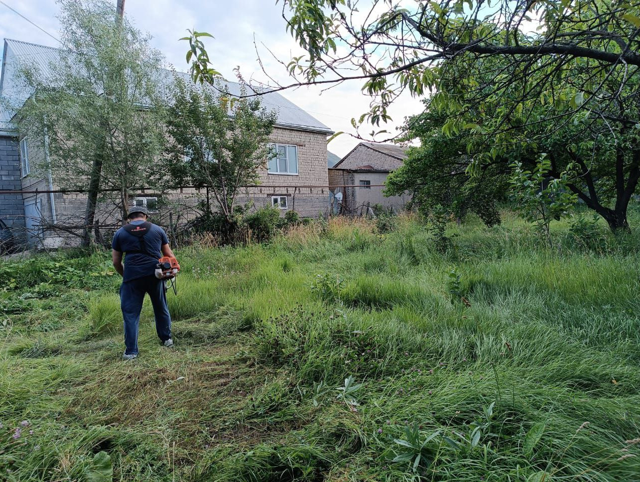 Социально - бытовые услуги.