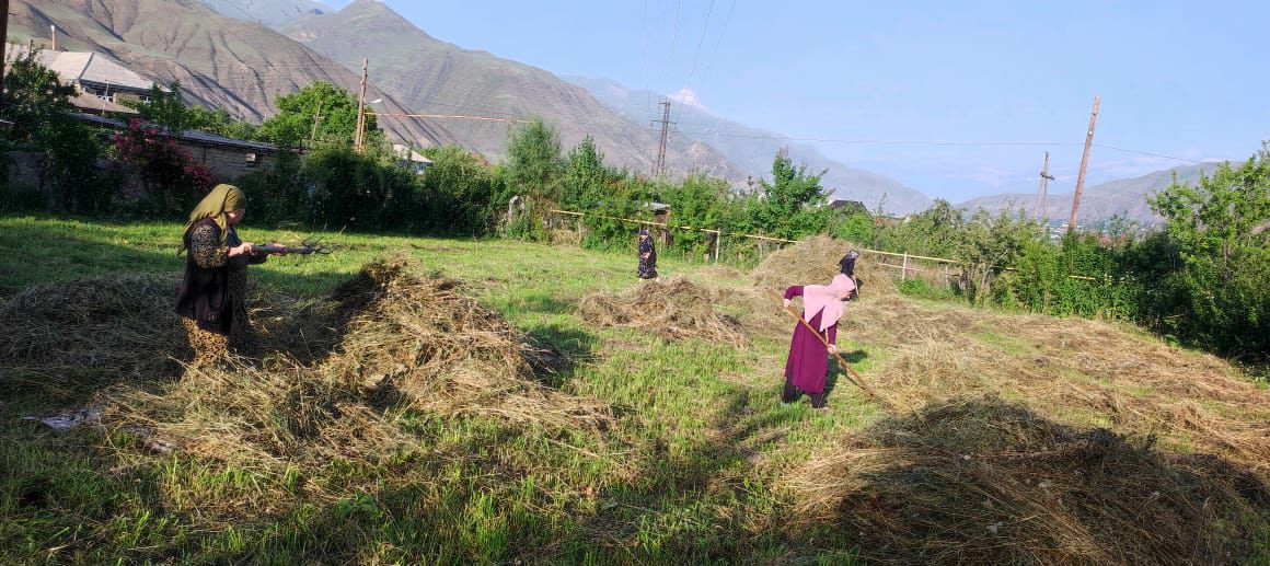 Социальная неотложка.