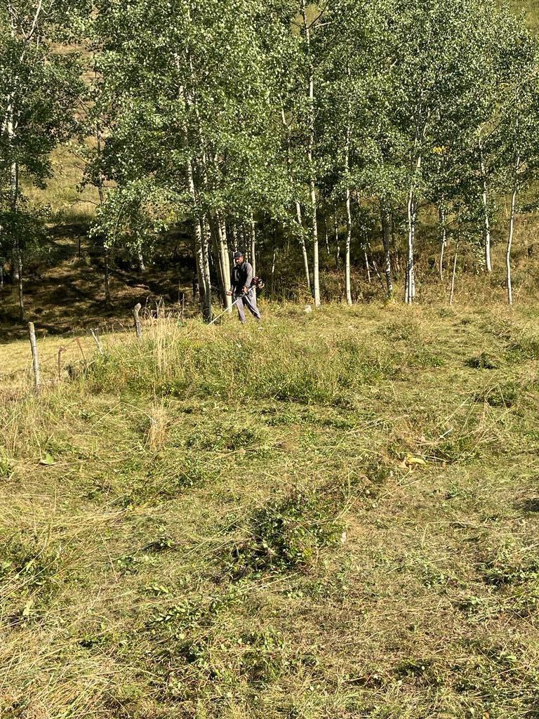 Оказание социально-бытовых услуг.