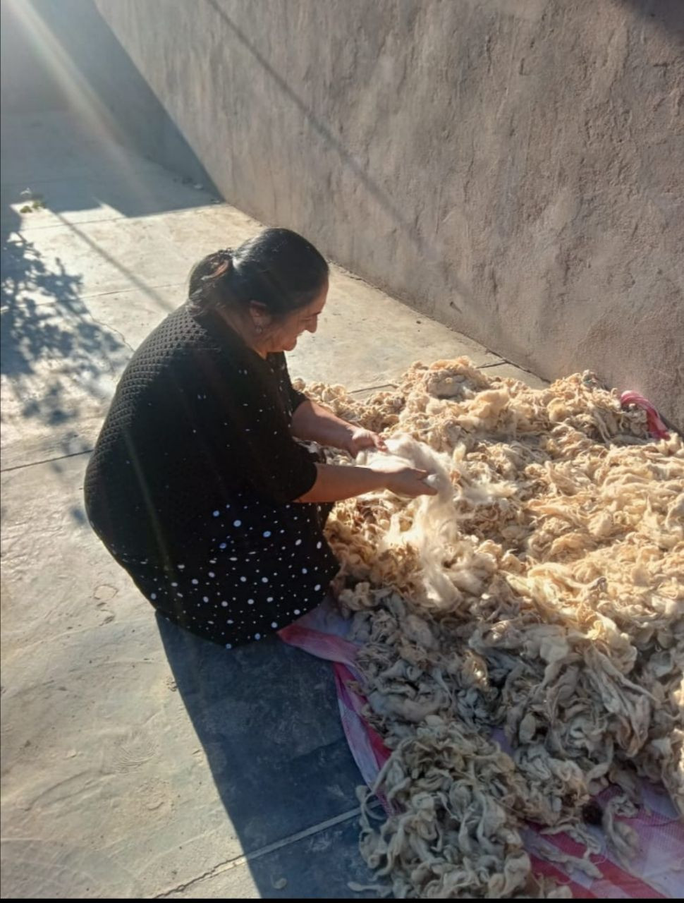 Оказание социальных услуг подопечным.