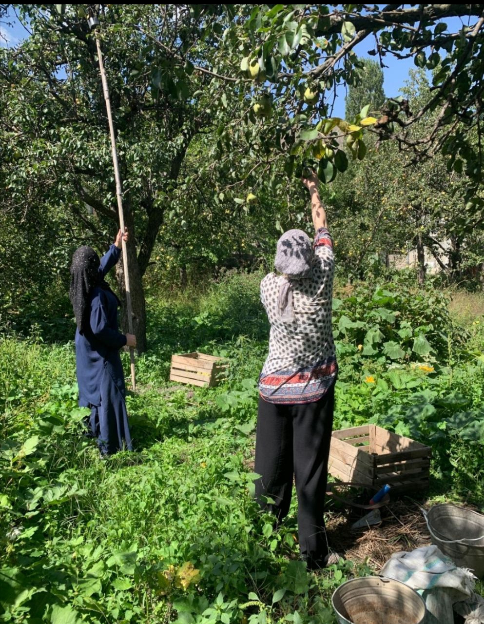 Социальная неотложка для обслуживаемой престарелой.