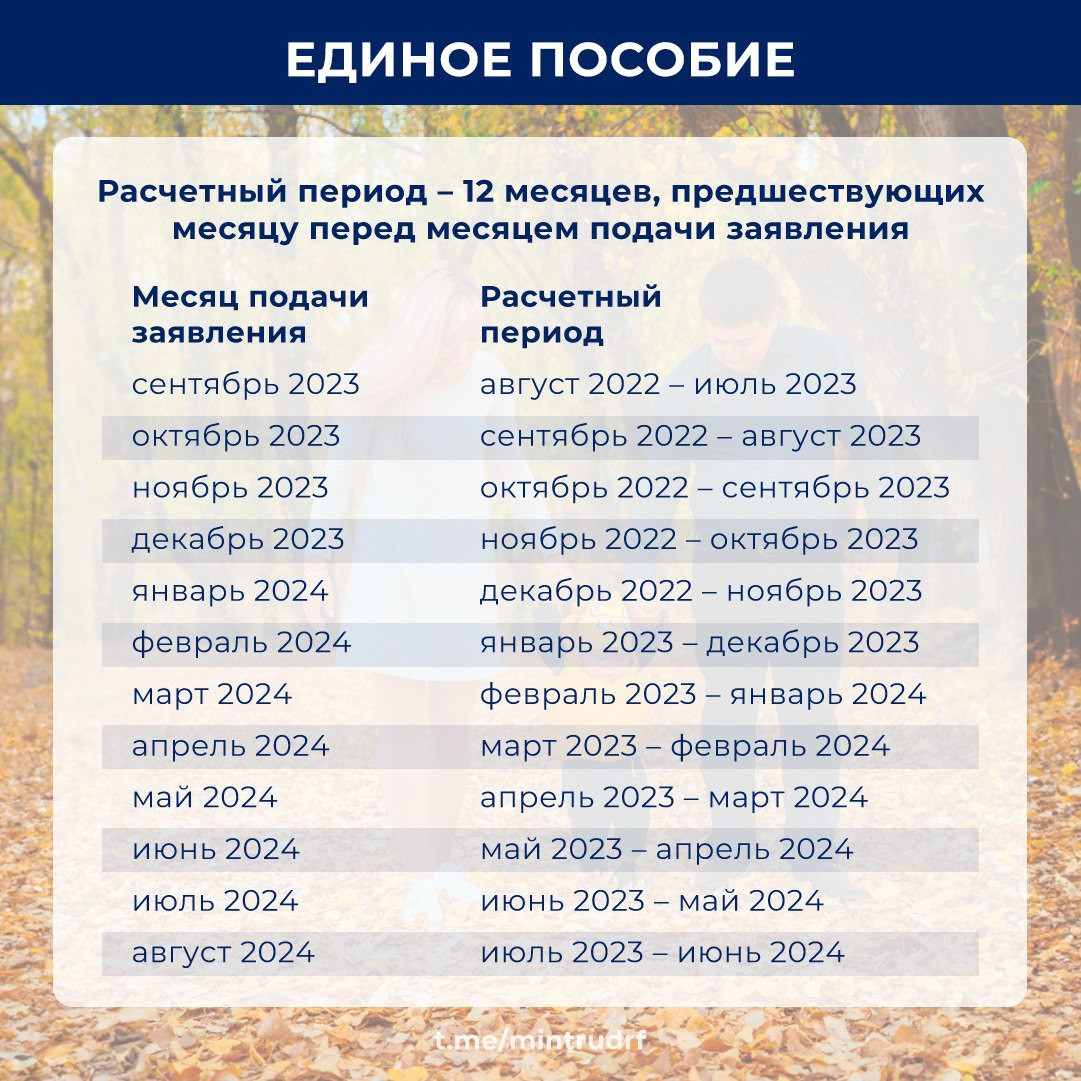 График месяцев на пособие единое 2025