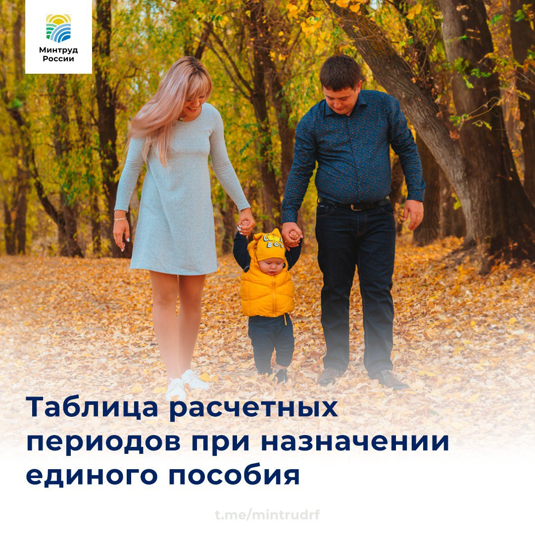 За какой период рассчитывается среднедушевой доход семьи при назначении единого пособия?