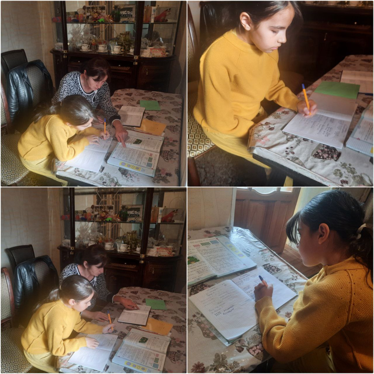 Оказание социально - педагогических услуг.