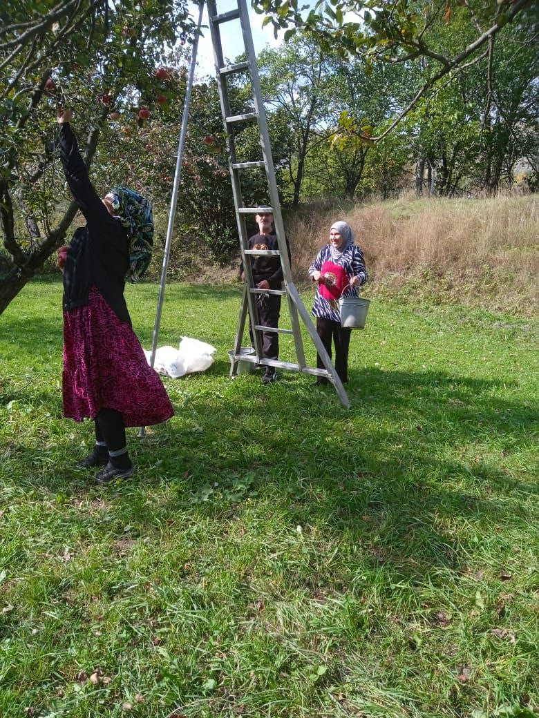 Социальная неотложка.