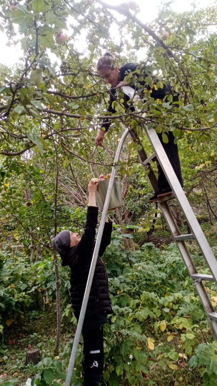 Социальная неотложка.