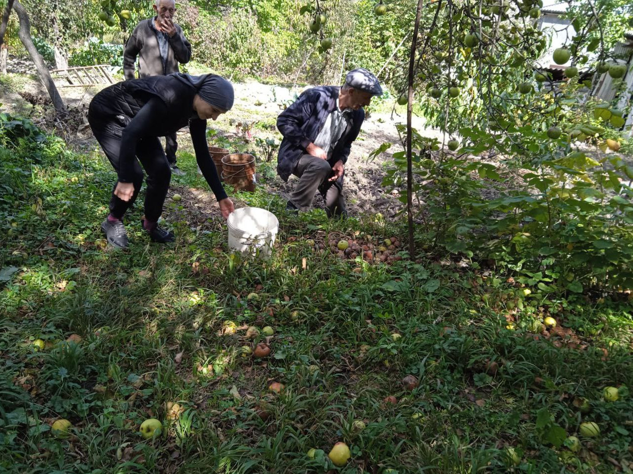 Социальная неотложка.