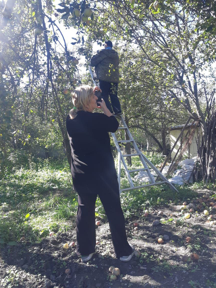 Социальная неотложка.