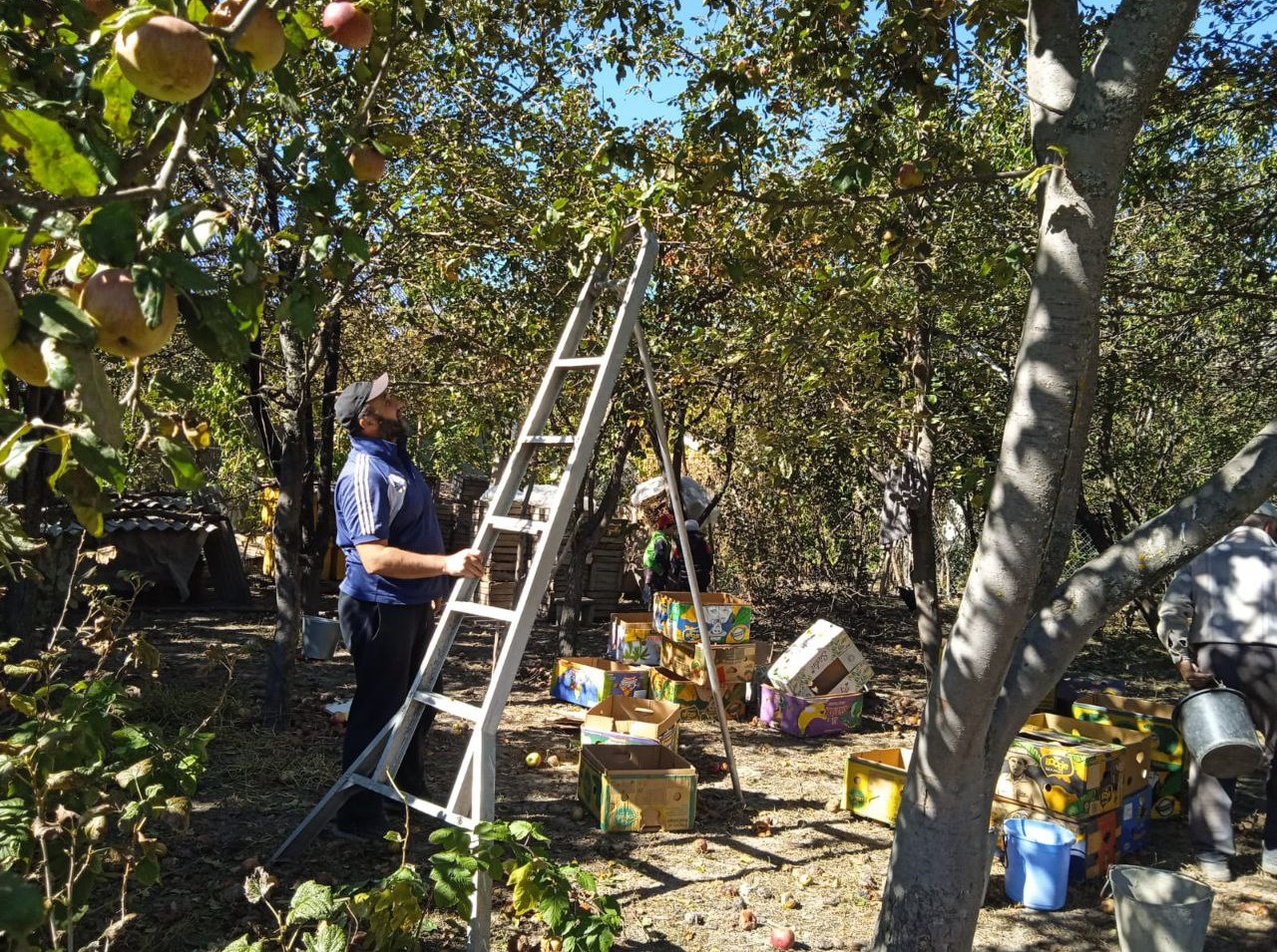 Социальная неотложка.