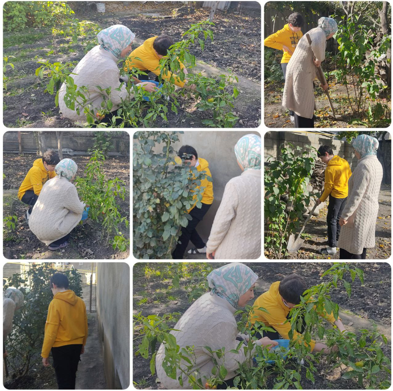 Досуг "Осенние работы в саду".