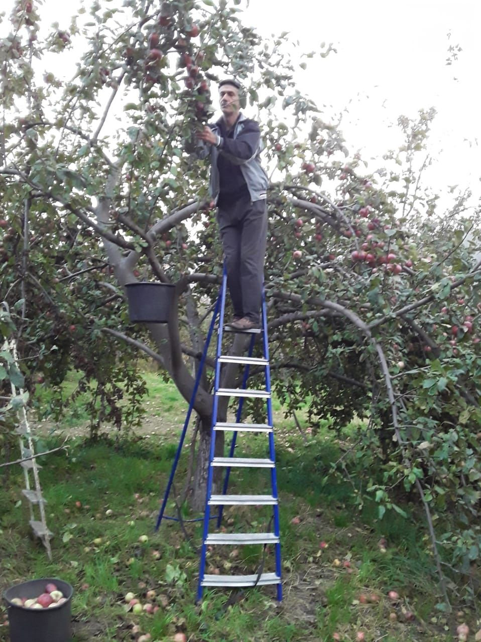 Оказание социально - бытовых услуг.