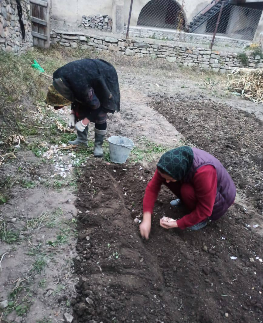 Помощь подопечным