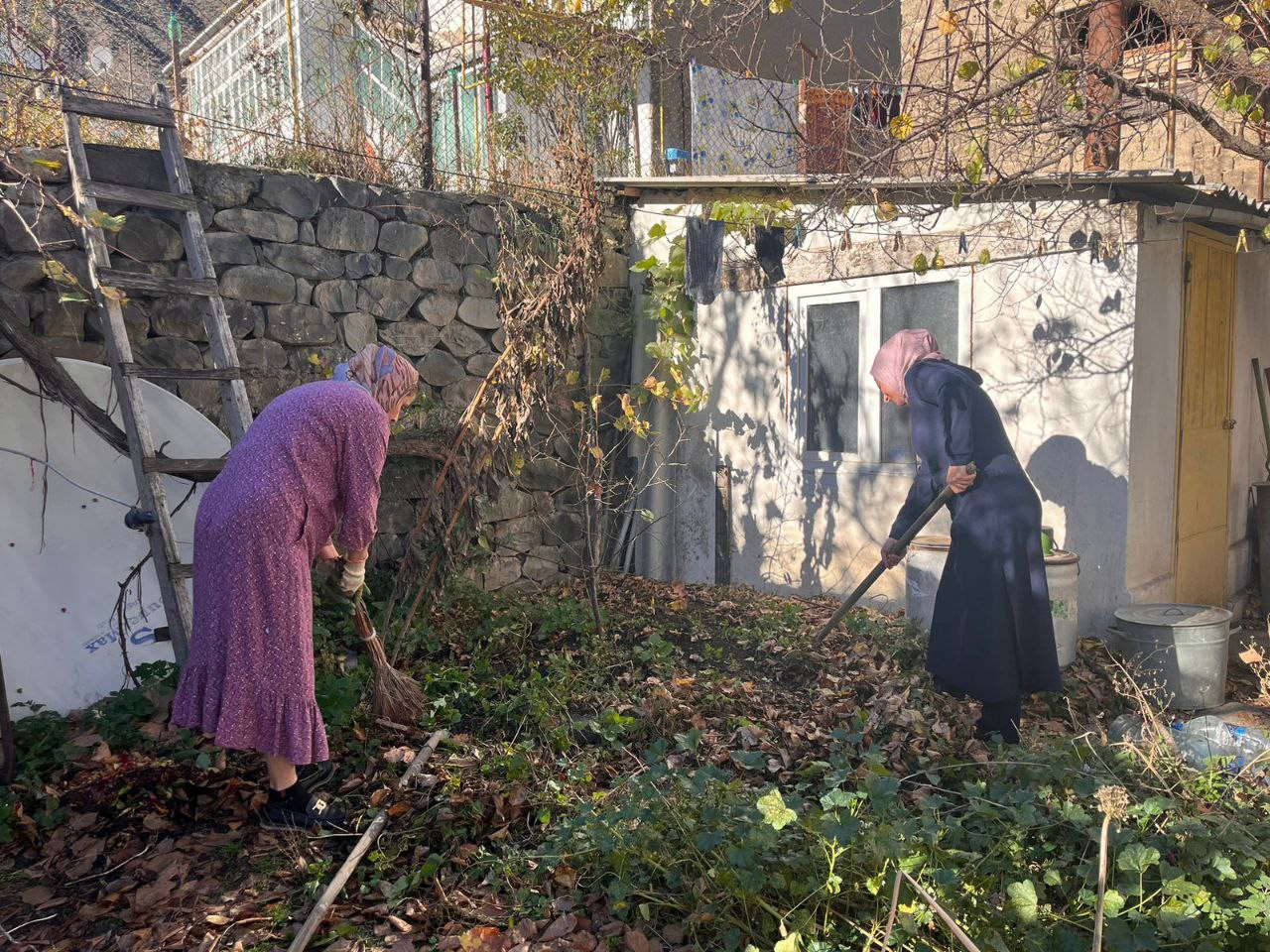 Социальная неотложка.