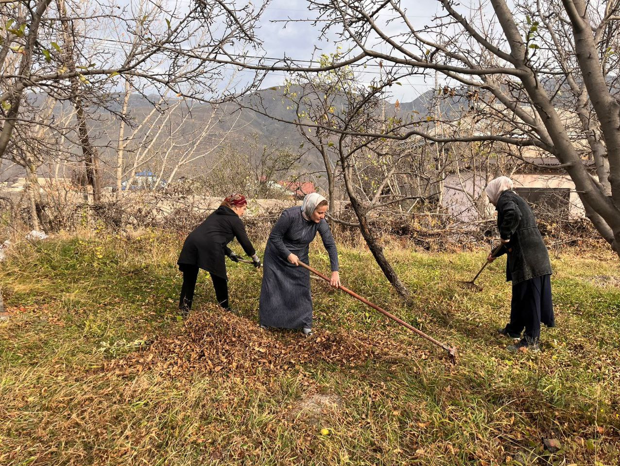 Социальная неотложка.