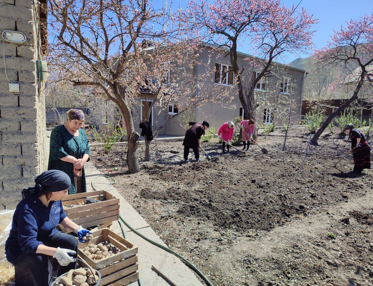 Социальная неотложка