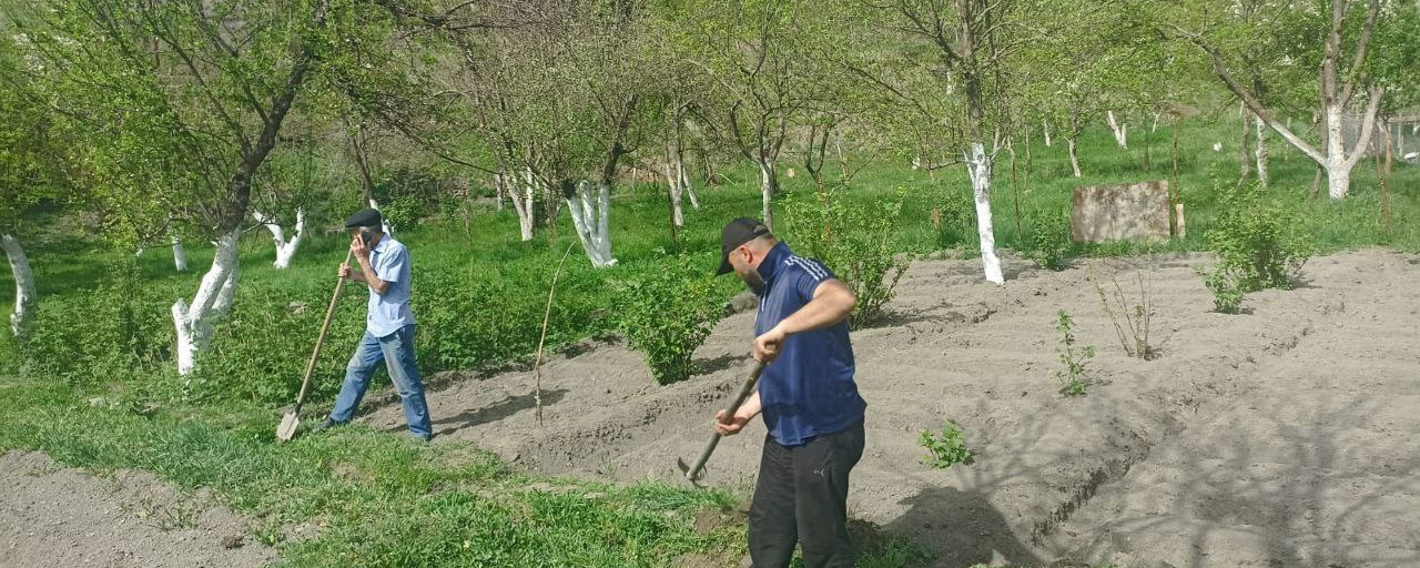 Социальная неотложка.