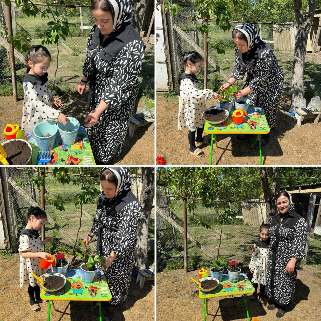 Специалист по социальной работе Абакарова Зульминат провела практическое занятие,по посадке комнатных растений со своей подопечной с.Костек.