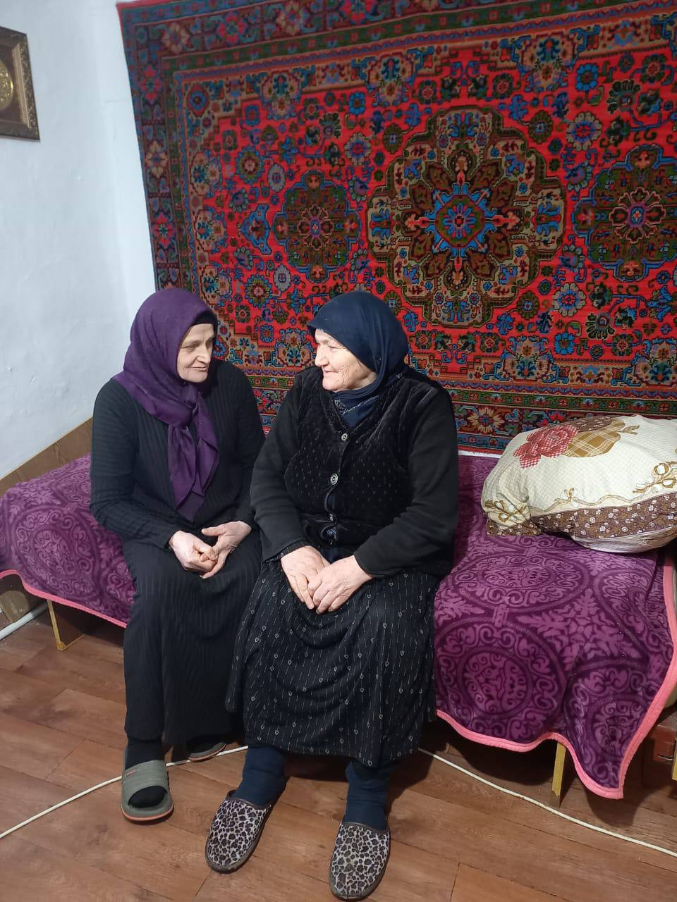 Посещениe подопечной, с целью оказания ей социально-бытовых услуг.