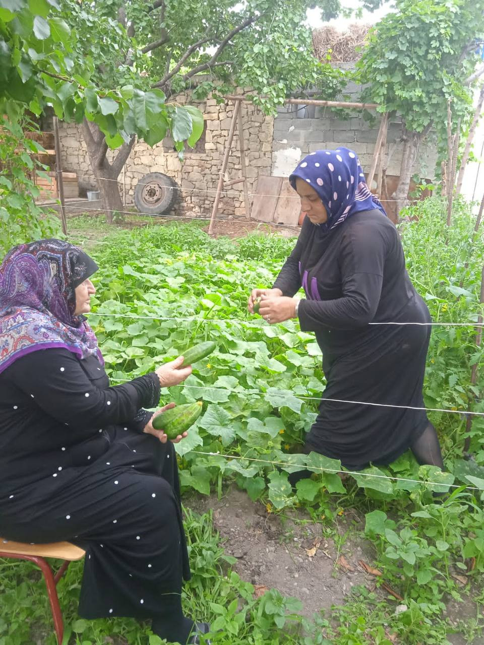 Социальный работник 1 отд. СО на дому Магомедтаминова Мадина при оказании социально-бытовых услуг подопечным.