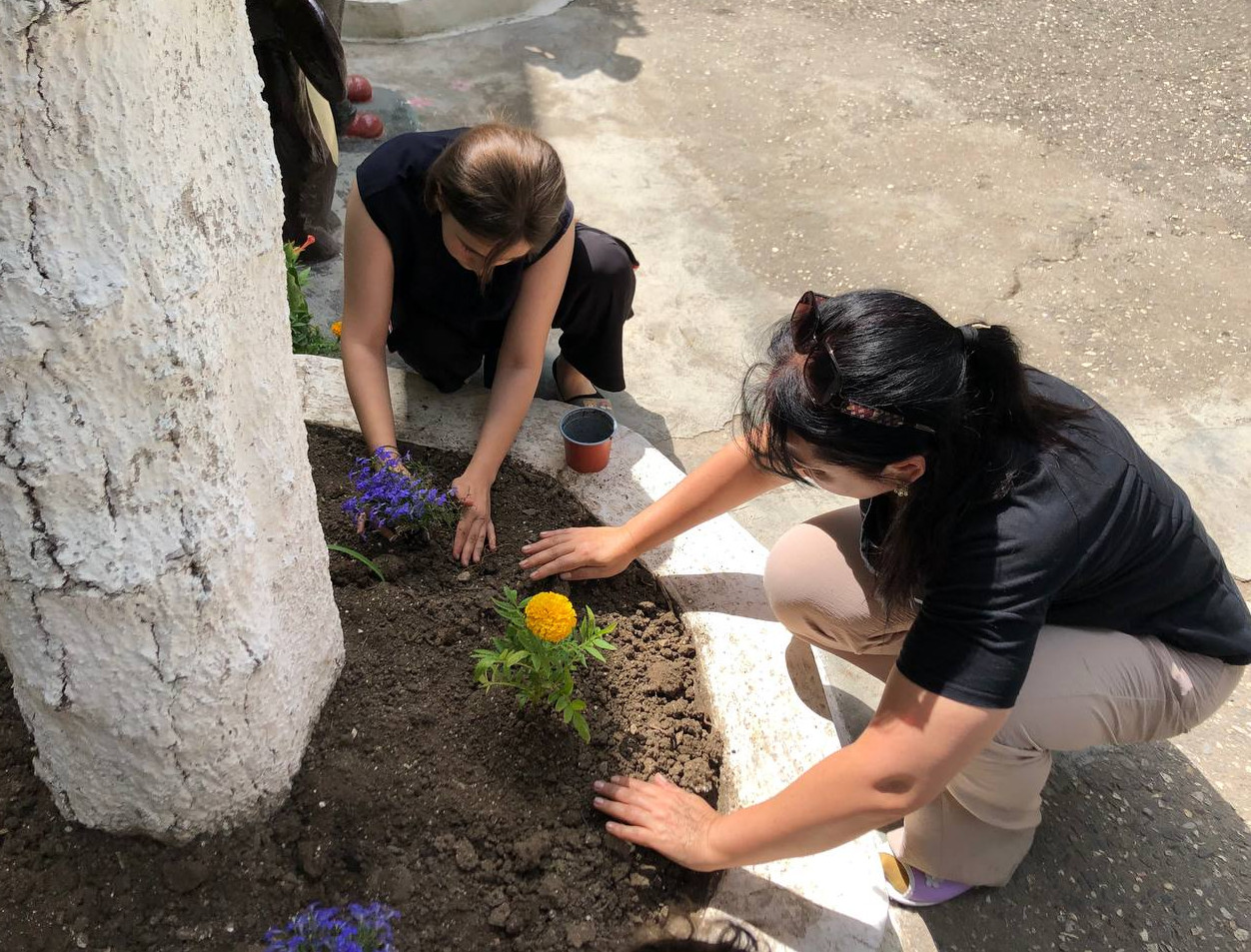 Сегодня наши воспитанники занимались высадкой и поливом декоративный растений а клумбы.