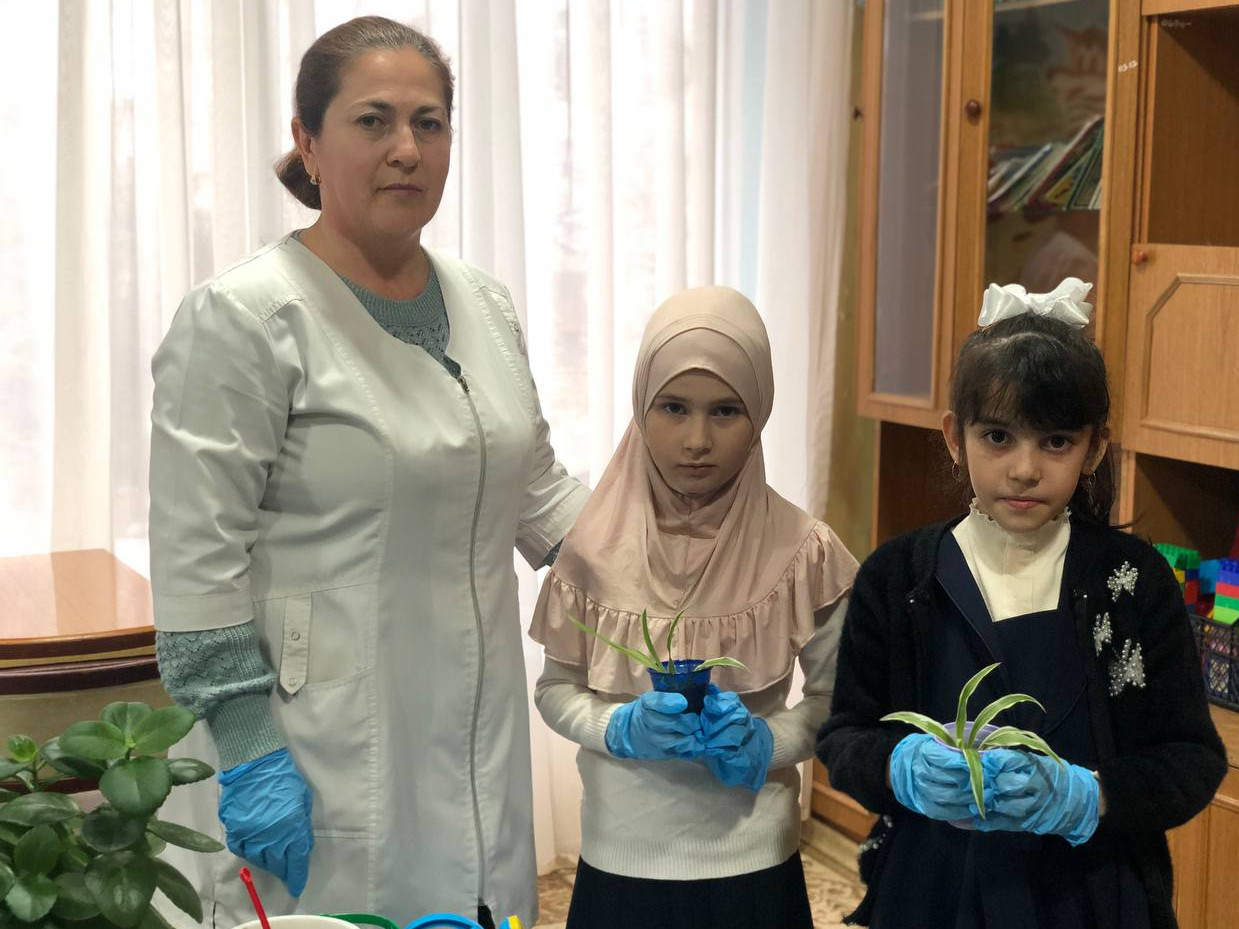 Комнатные растения – ценный дидактический материал, они являются неотъемлемыми обитателями уголка природы.