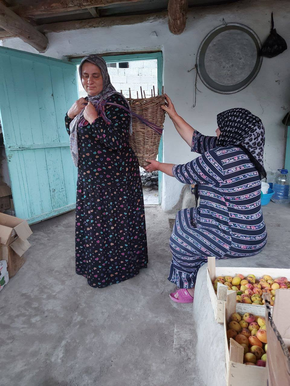 Оказание социально- бытовых услуг подопечной.