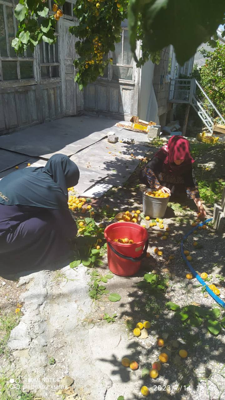 Оказание социально- бытовых услуг подопечной.