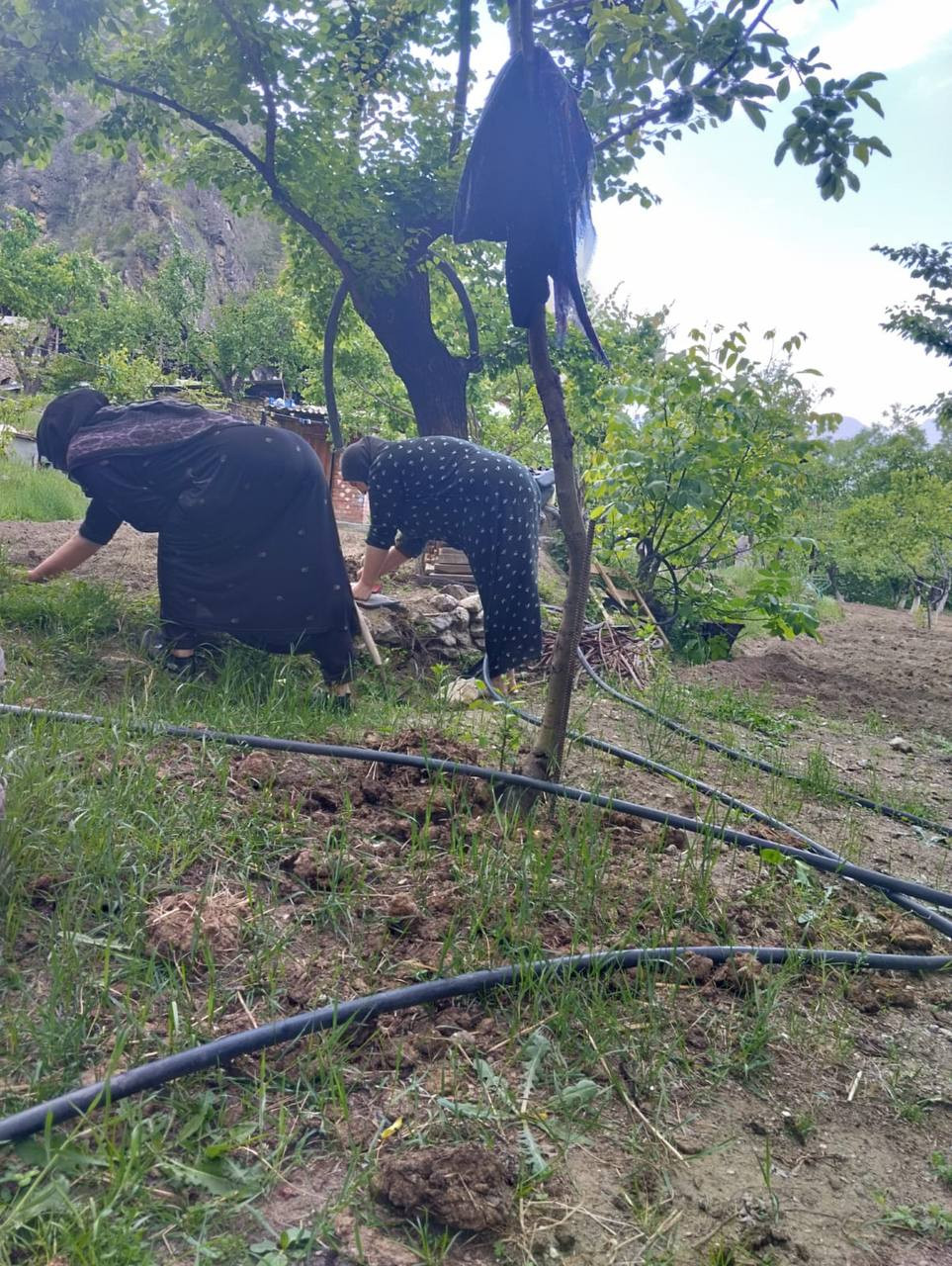 Оказание социально- бытовых услуг подопечным.