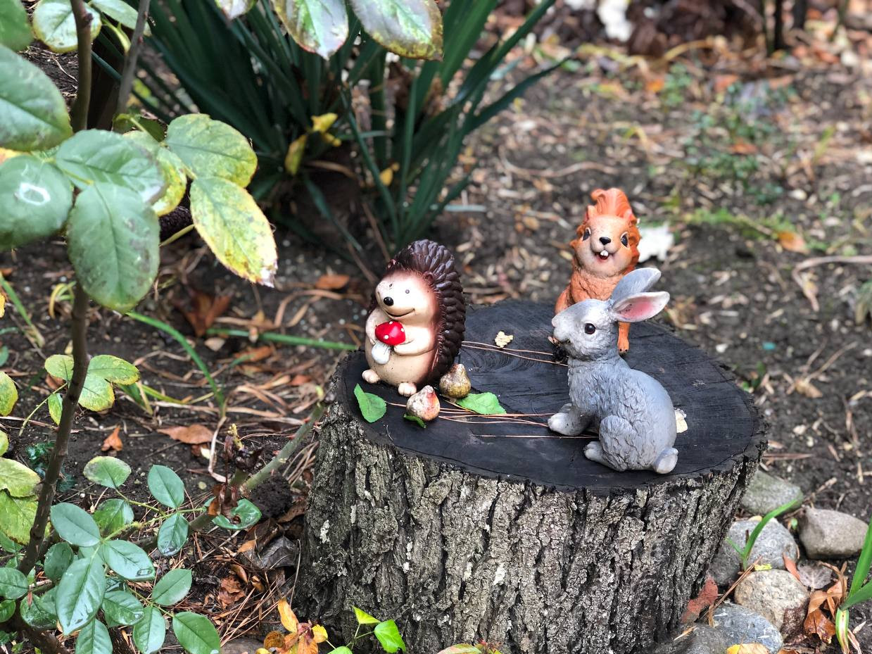 А вам интересно узнать, кто ухаживает за нашим садом?