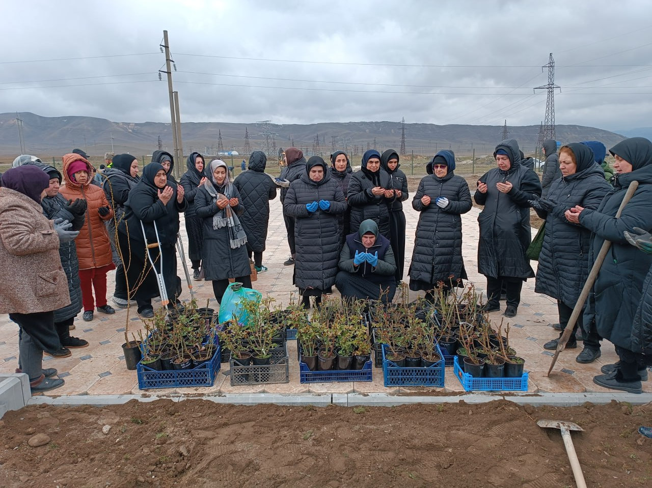Социальные работники Кизилюрта приняли участие в посадке деревьев "Саду памяти" участникам СВО
