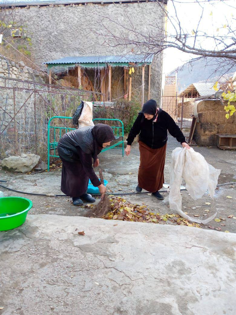 Оказание социально- бытовых услуг подопечной.