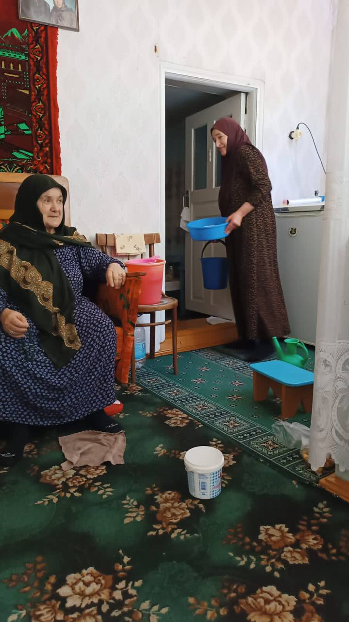 Оказание социально-бытовых услуг подопечной.