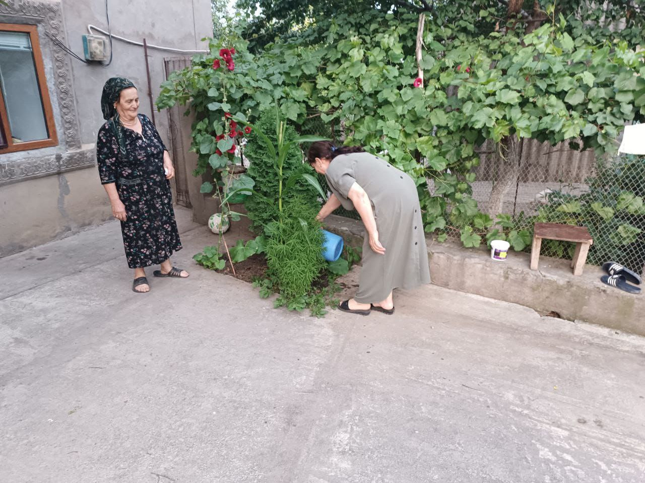 ПАТРОНАЖ ПОДОПЕЧНЫХ