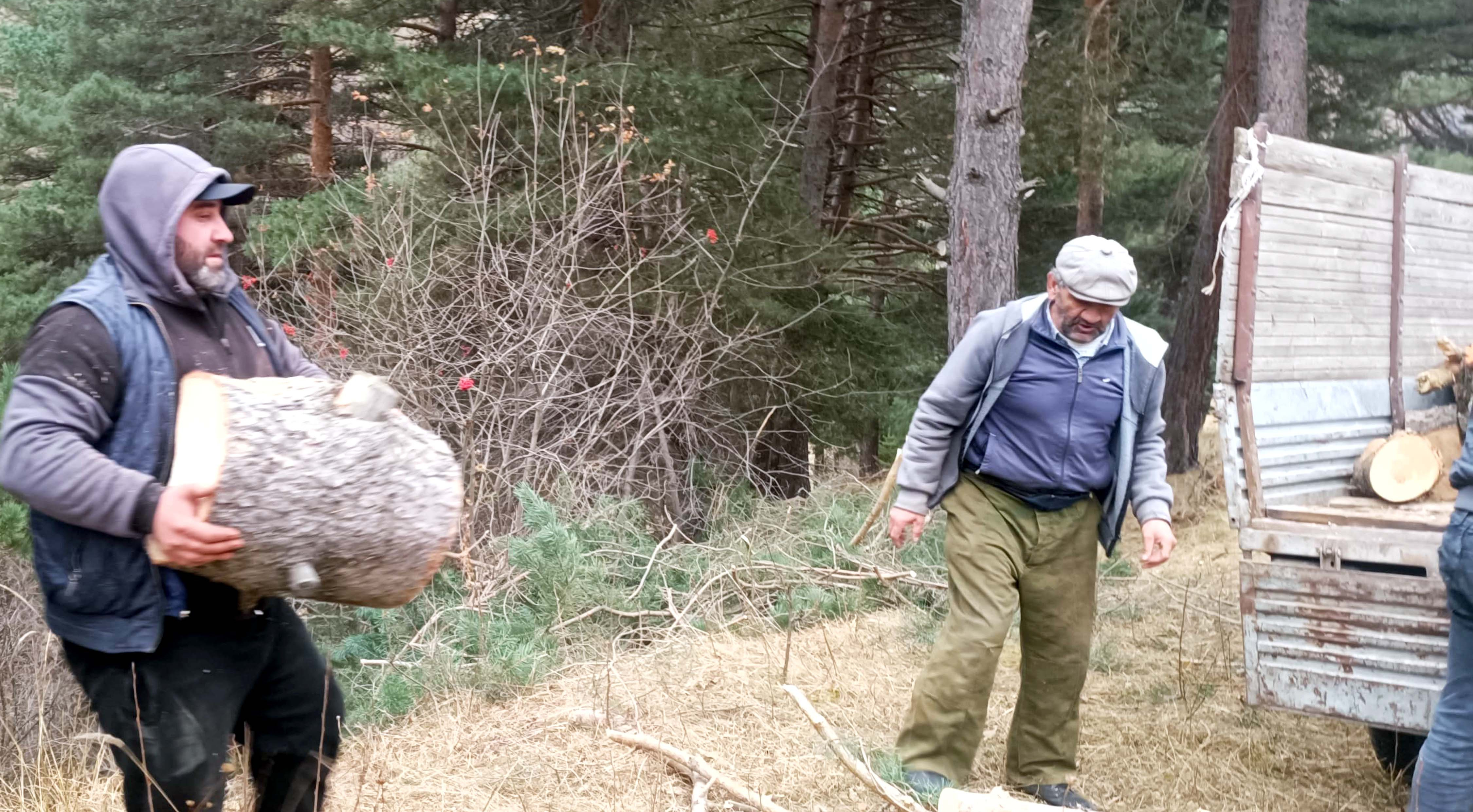 В Тляратинском районе социальная служба помогла семьям военнослужащих в заготовке дров
