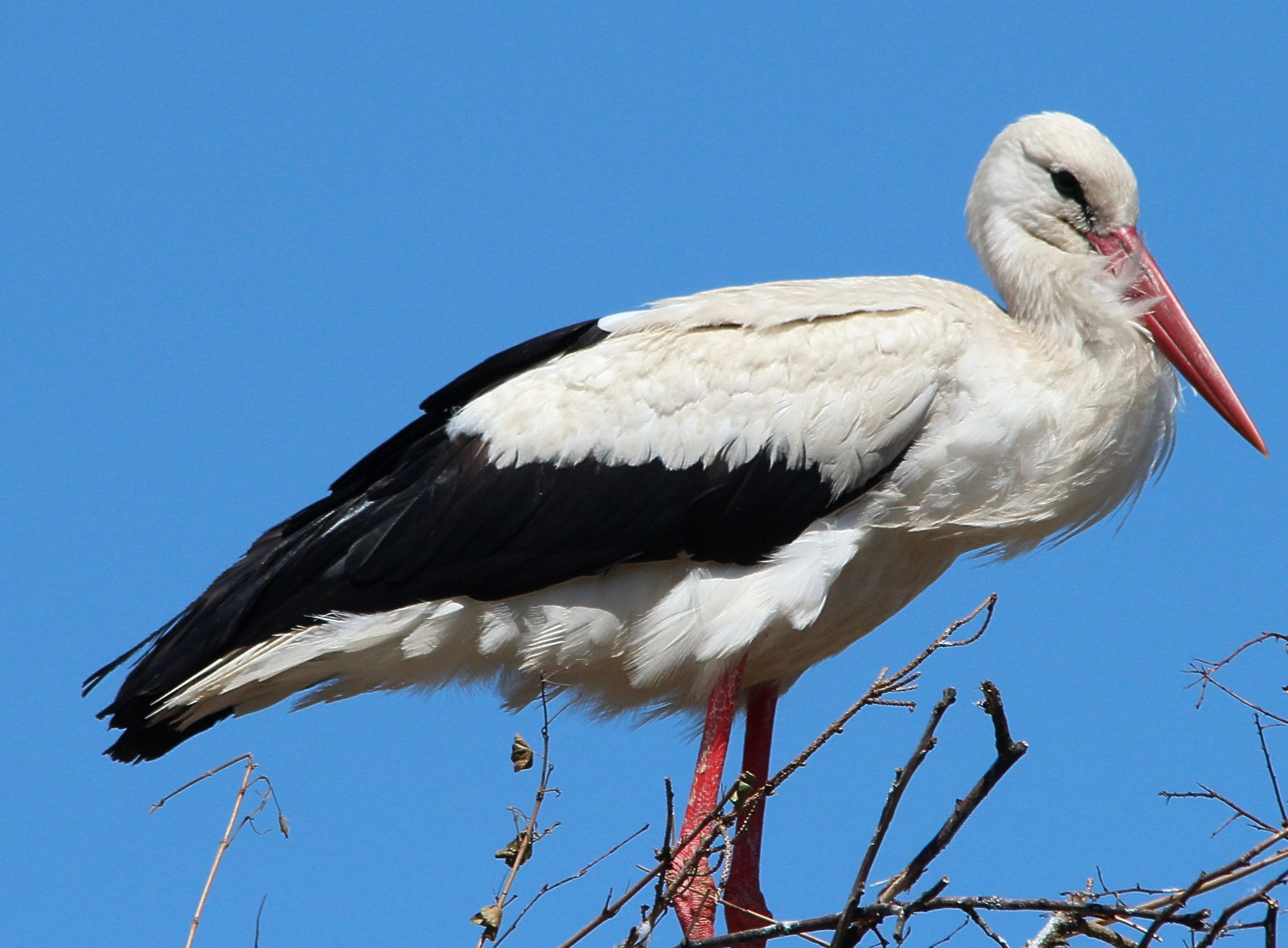 РАБОТА в г.КИЗИЛЮРТ
