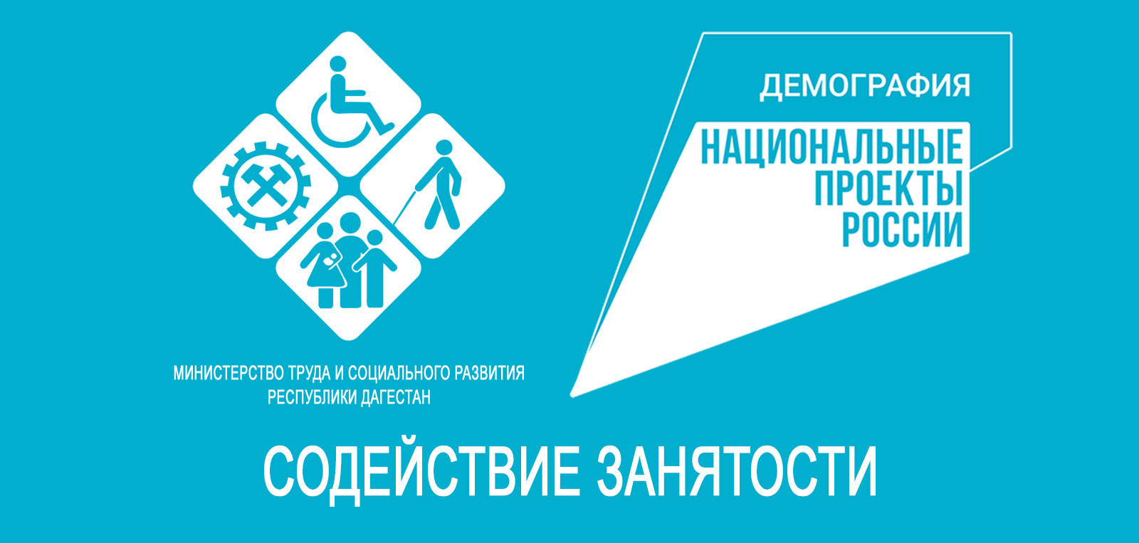 Центрами занятости Минтруда РД в 2024 году  в рамках проекта «Содействие занятости» нацпроекта «Демография»  рассмотрено около 600 заявок от граждан