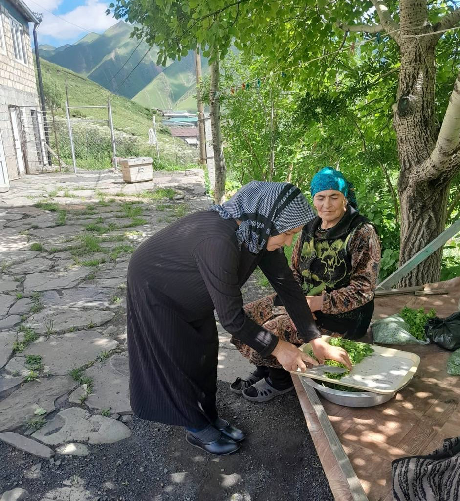 Социальные работники отделения социального обслуживания граждан пожилого возраста и инвалидов на дому №1 КЦСОН Агульского района при исполнении своих служебных обязанностей по оказанию социально-бытовых услуг подопечным Центра.