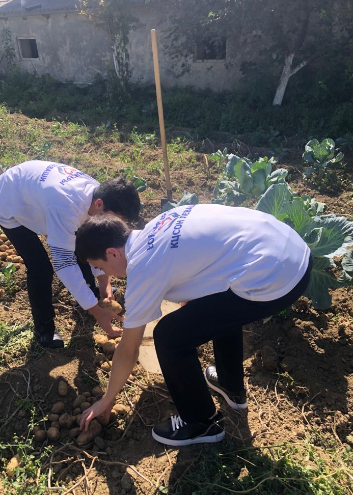Добровольцы (волонтеры) ГБУ РД КЦСОН в МО "Левашинский район" приняли участие в сборе урожая пожилым гражданам.
