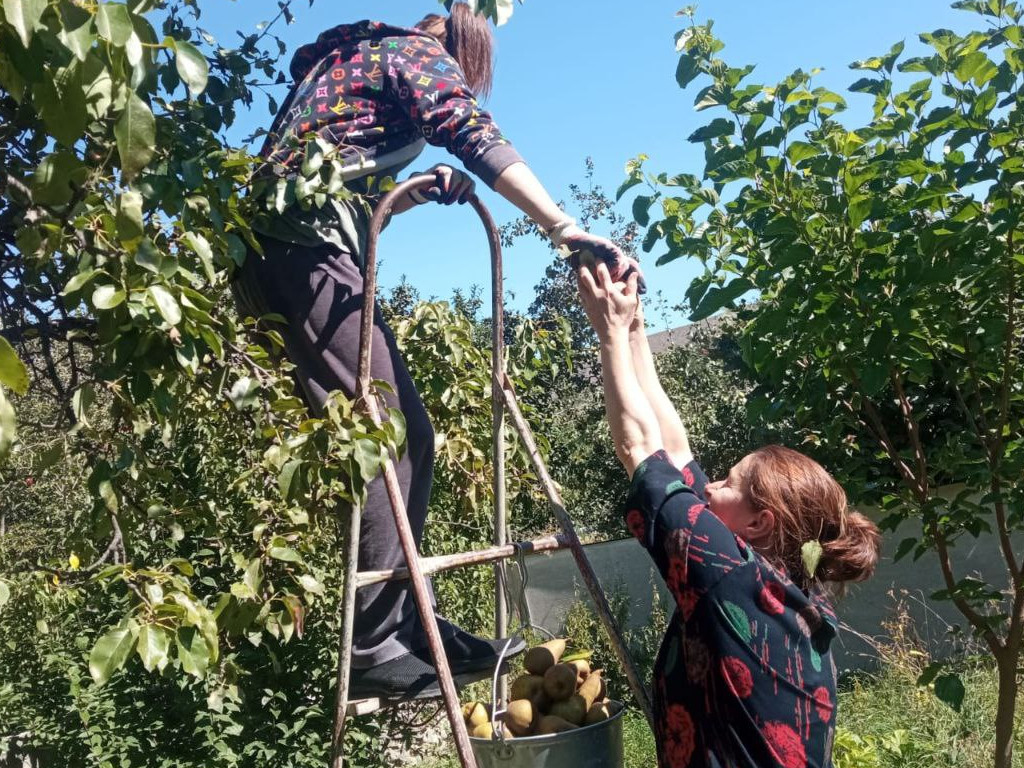 "Социальная неотложка"