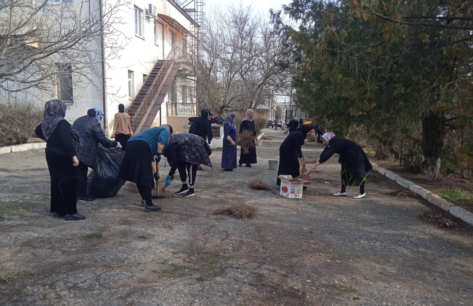 Коллективный субботник.