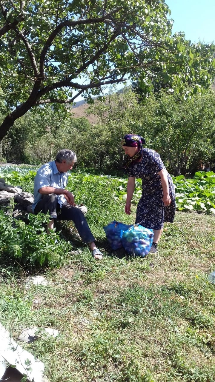 Лето, помощь обслуживаемым