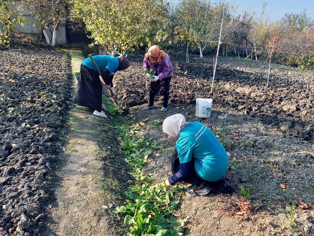 12.11.2022г. волонтеры с. Куруш