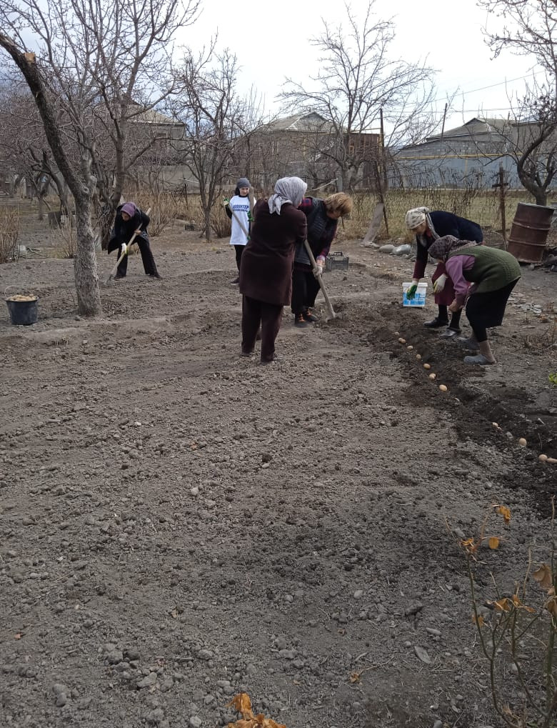 Социальная неотложка