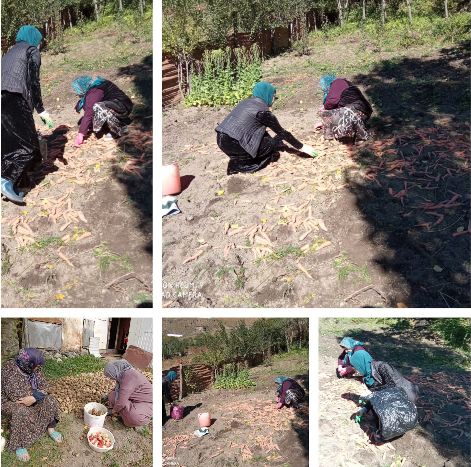 Социальный работник оказывает дополнительные социально-бытовые услуги получателю социальных услуг