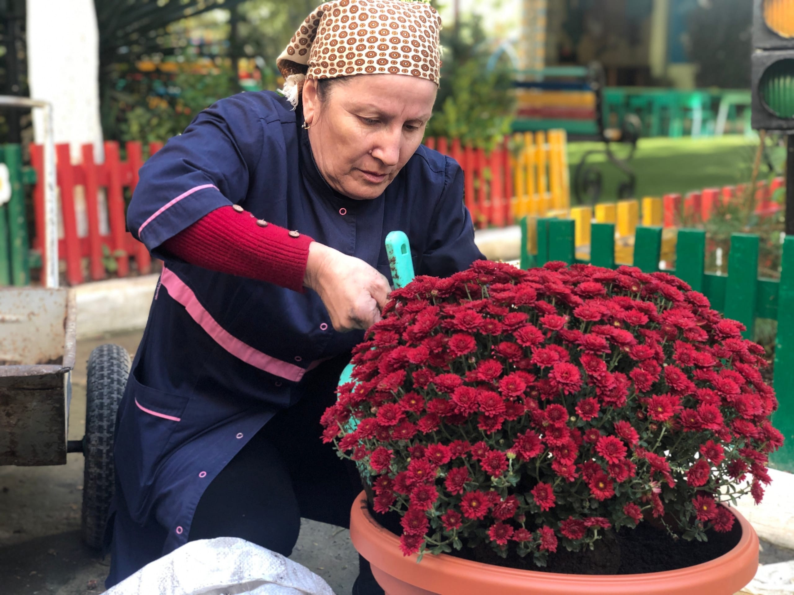 Санитарный день