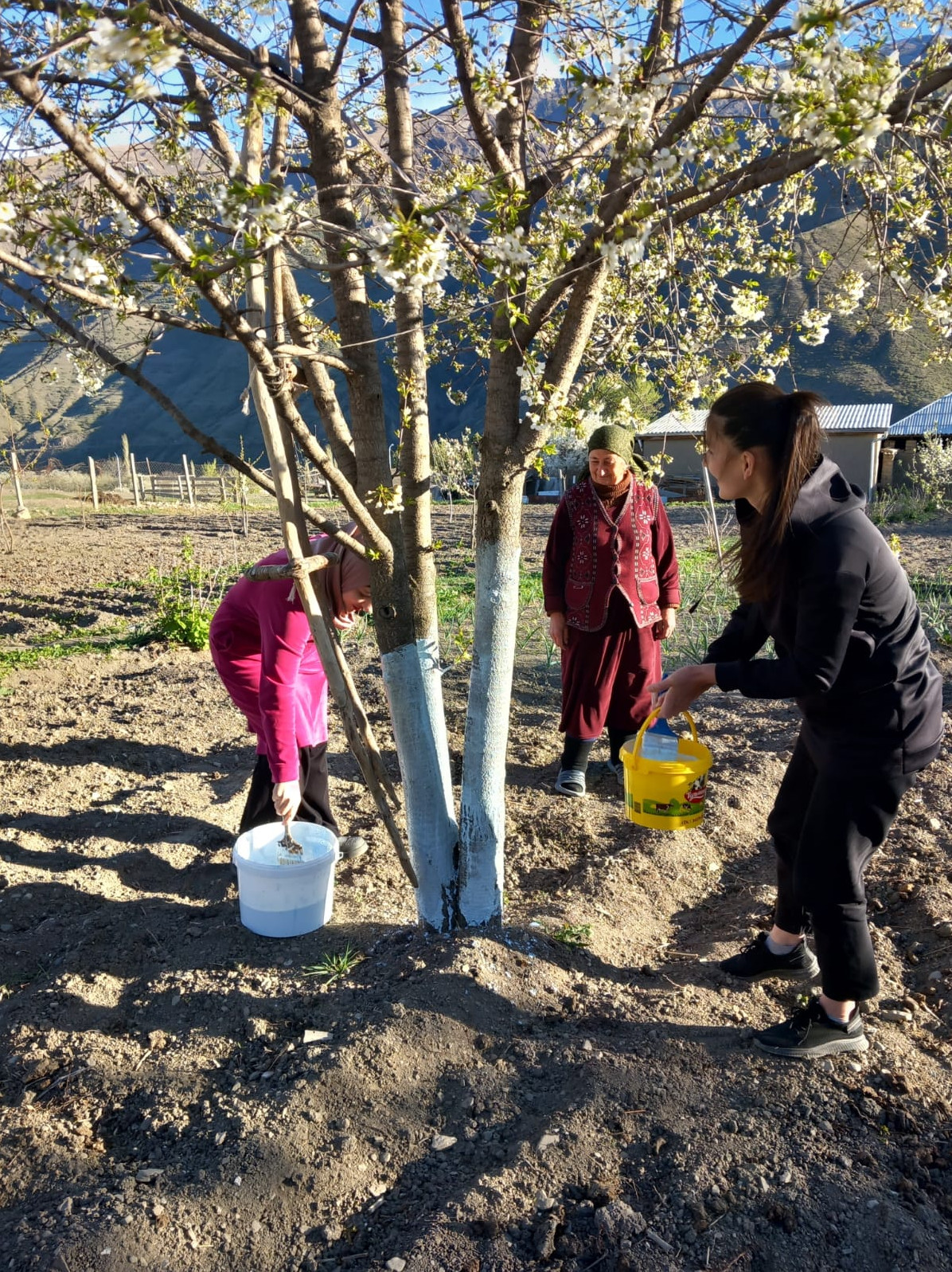 Социальная неотложка.
