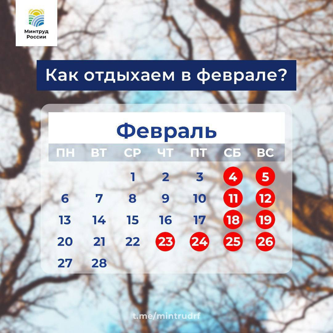 Как отдыхаем в феврале