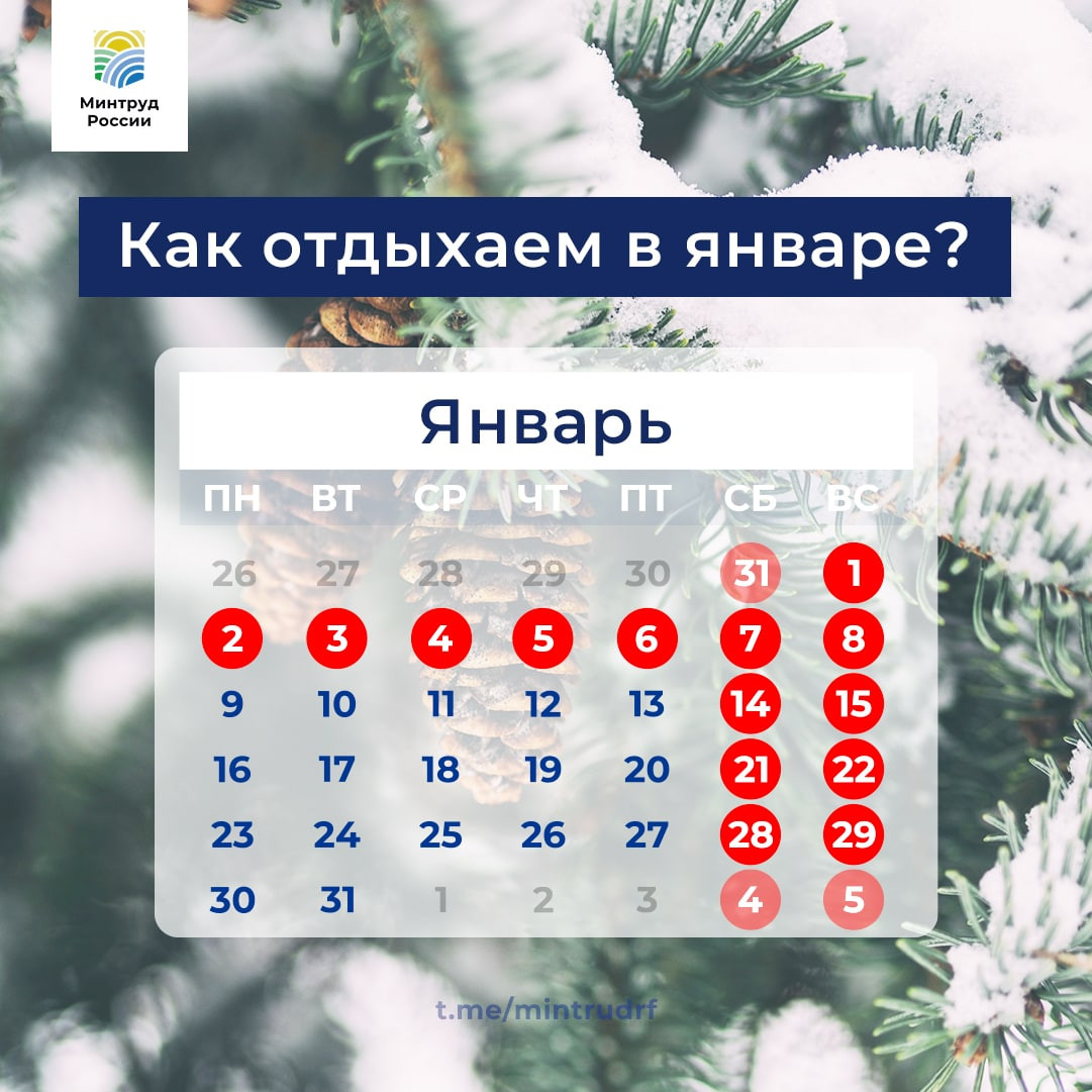 Как отдыхаем в январе?